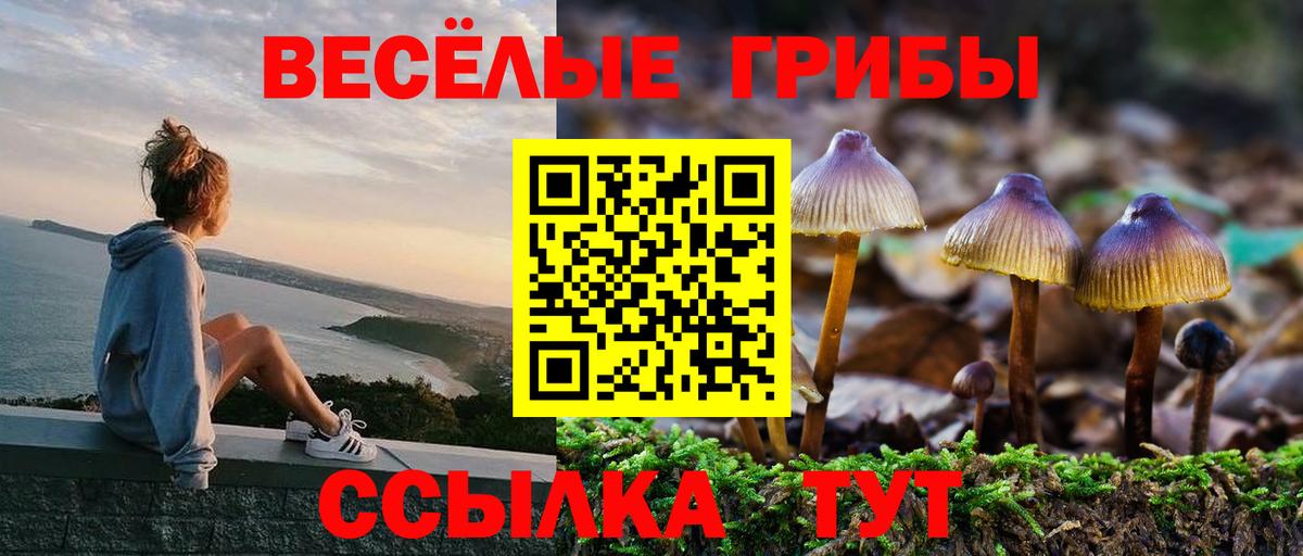 Псилоцибиновые грибы мицелий  Вход с VPN  Ирбит 